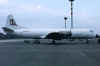 amerer_oeila.jpg (86884 Byte)